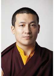 XVII Karmapa Trinlej Thaye Dorje